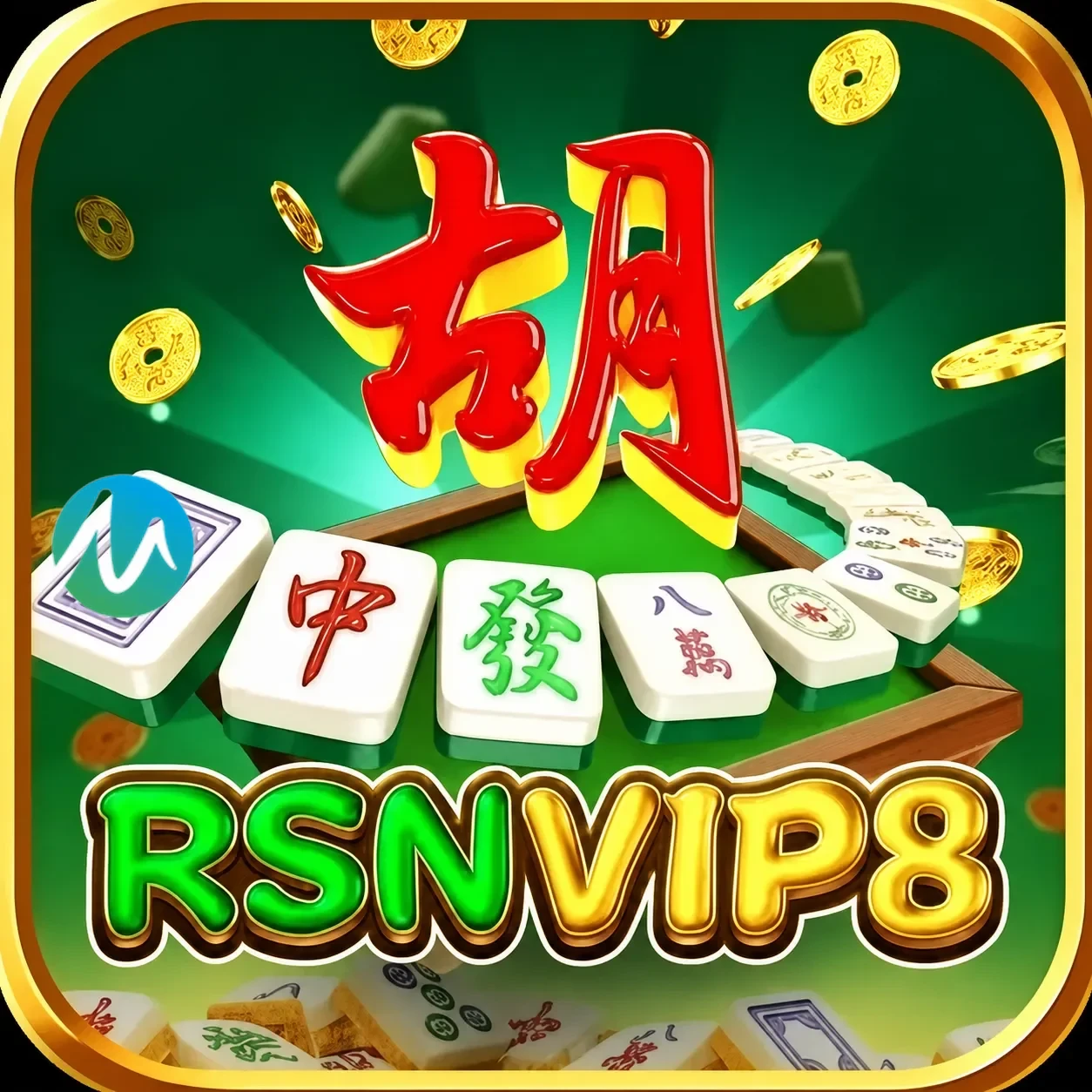Logo rsnvip8